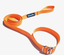 Load image into Gallery viewer, 3 in 1 Leash, Collar &amp; Harness
