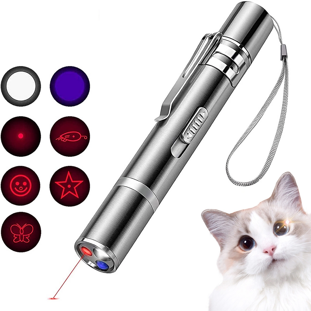 LED Laser Pointer